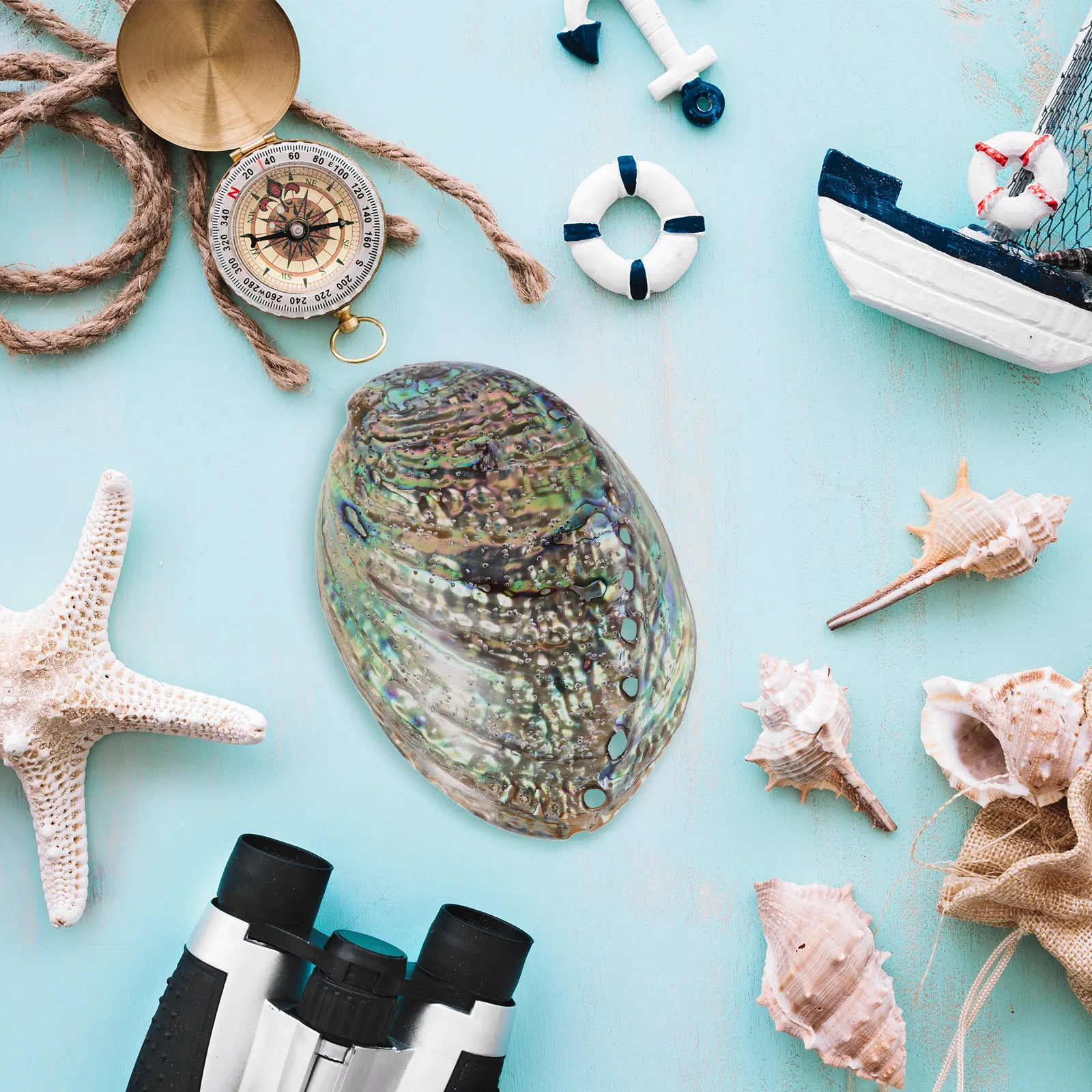 

Dazzle Luster Natural Abalone Shell Accessories 10-12Cm Delicate Natural Shell Decoration for DIY Jewelry Earrings Necklace Glow