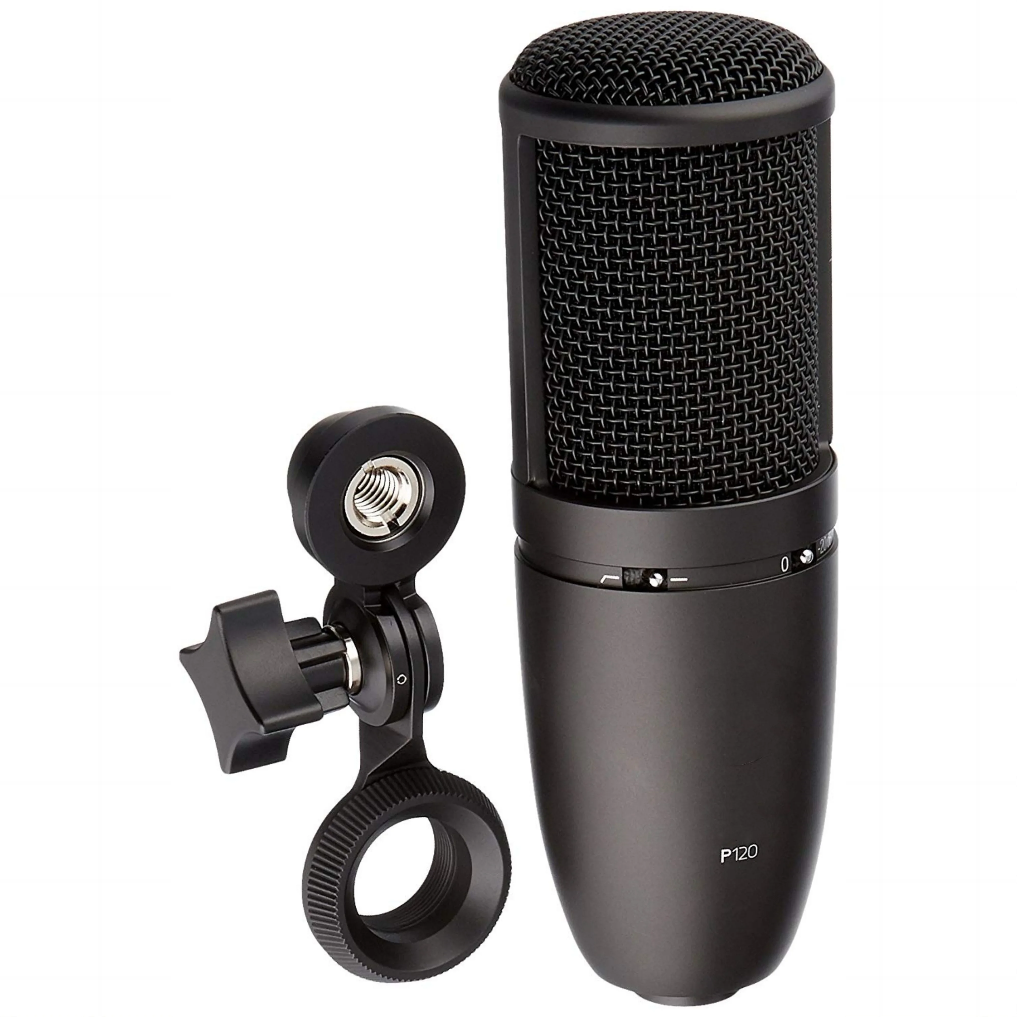 

High quality Cardioid Microphone P120 Adjustable Frequency Response Dynamic Vocal Microphone Ensure Clear Sound For Recording