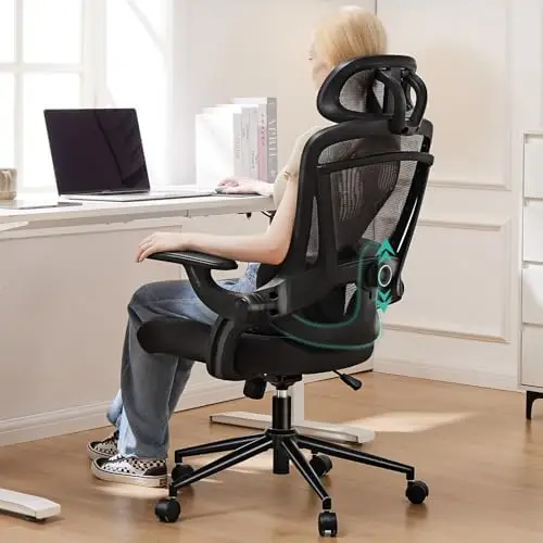 

Ergonomic Office Chair, High Back Desk Chair with 2D Headrest, Up&Down Lumbar Support, Swivel Computer Task Mesh with Adjustable