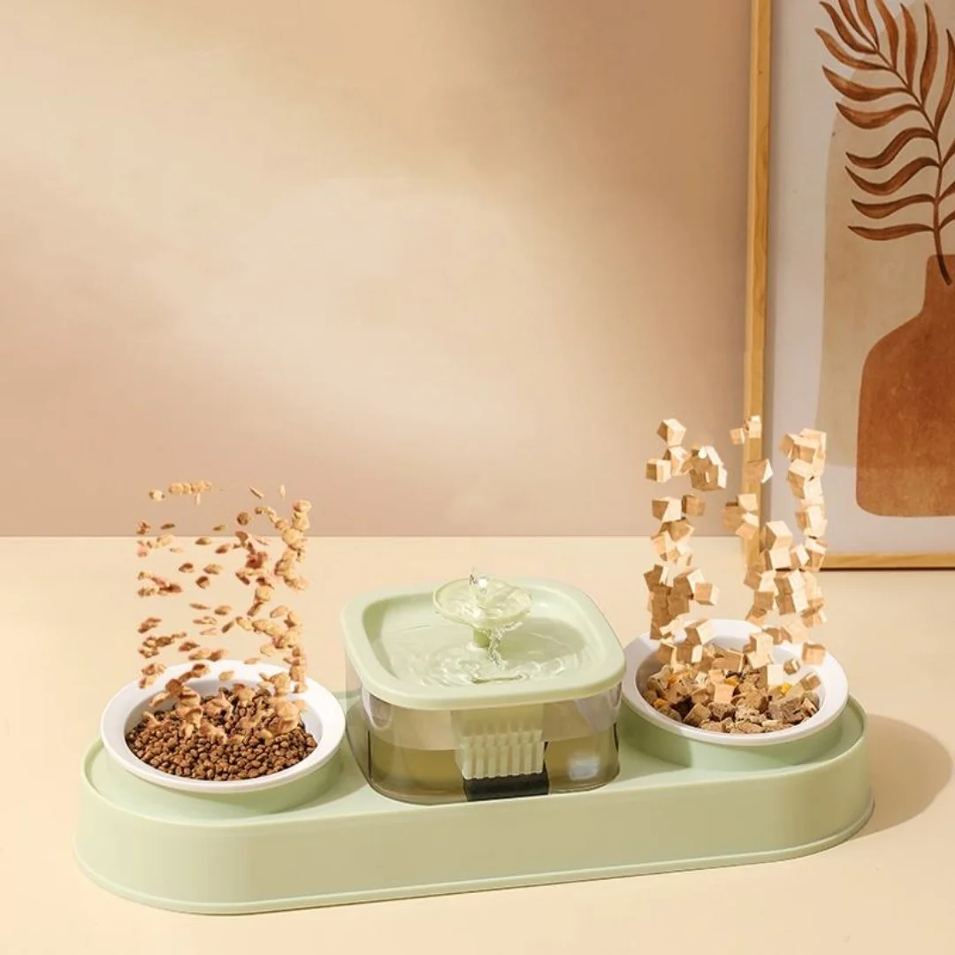 Cat Food Bowls and Water Feeder with Automatic Water Dispenser Double Dog Cat Bowls Detachable Pet Feeder