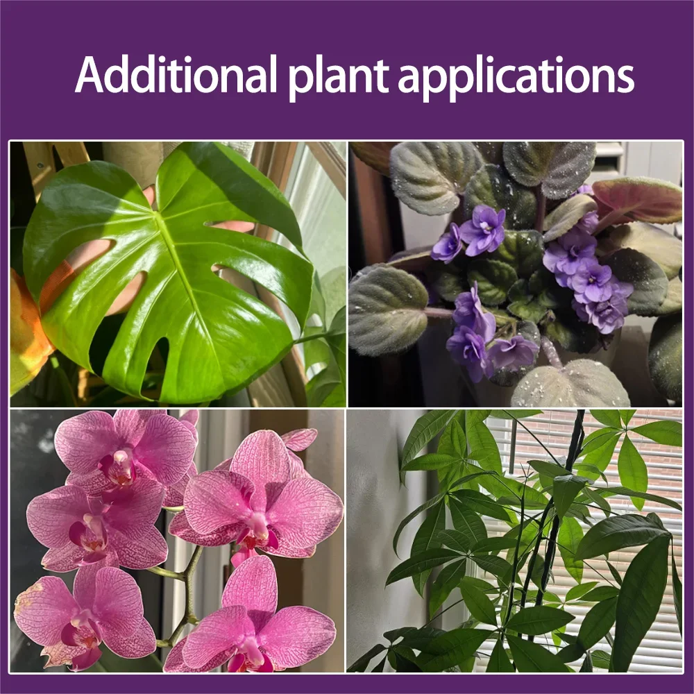 Professioneller Orchideen-Pflanzendünger Flüssigdünger Schnelle Wurzelbildung Blütenbildung Wachstumslösung für Gartenblumenpflege – Detail 6
