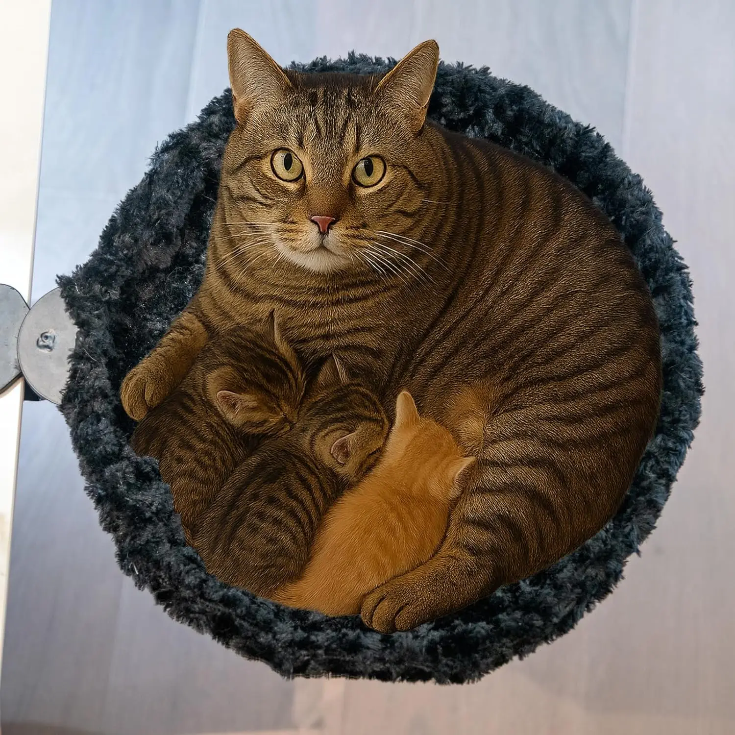 

Clamp-On Ergonomic Cat Bed – Cozy, Durable & Space-Saving | Supports Up to 50 lbs