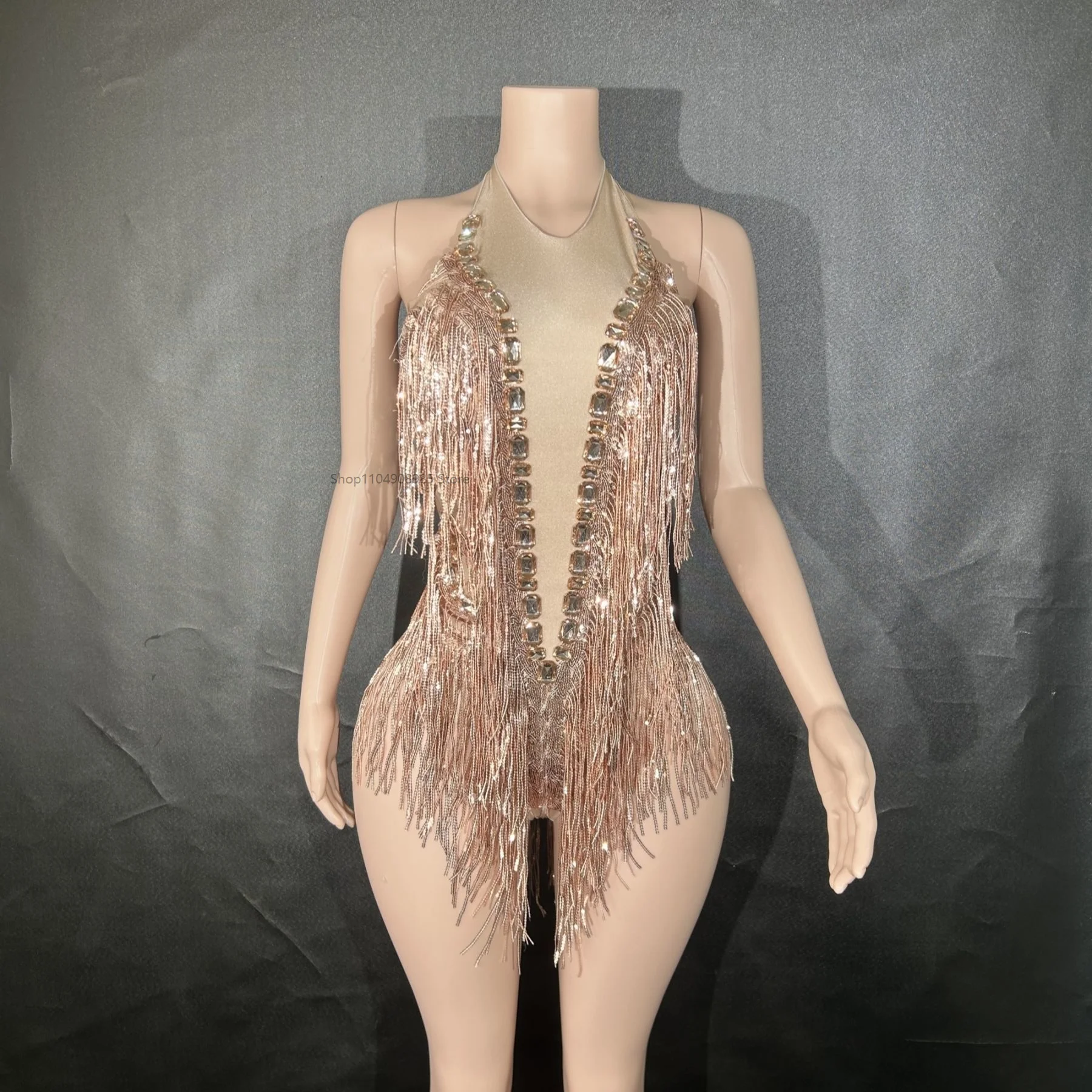 

Sparkly Rhinestone Sequins Tassel Leotard Women Nightclub Outfit Singer Dancer Costume Stage Wear Sexy Performance Bodysuit