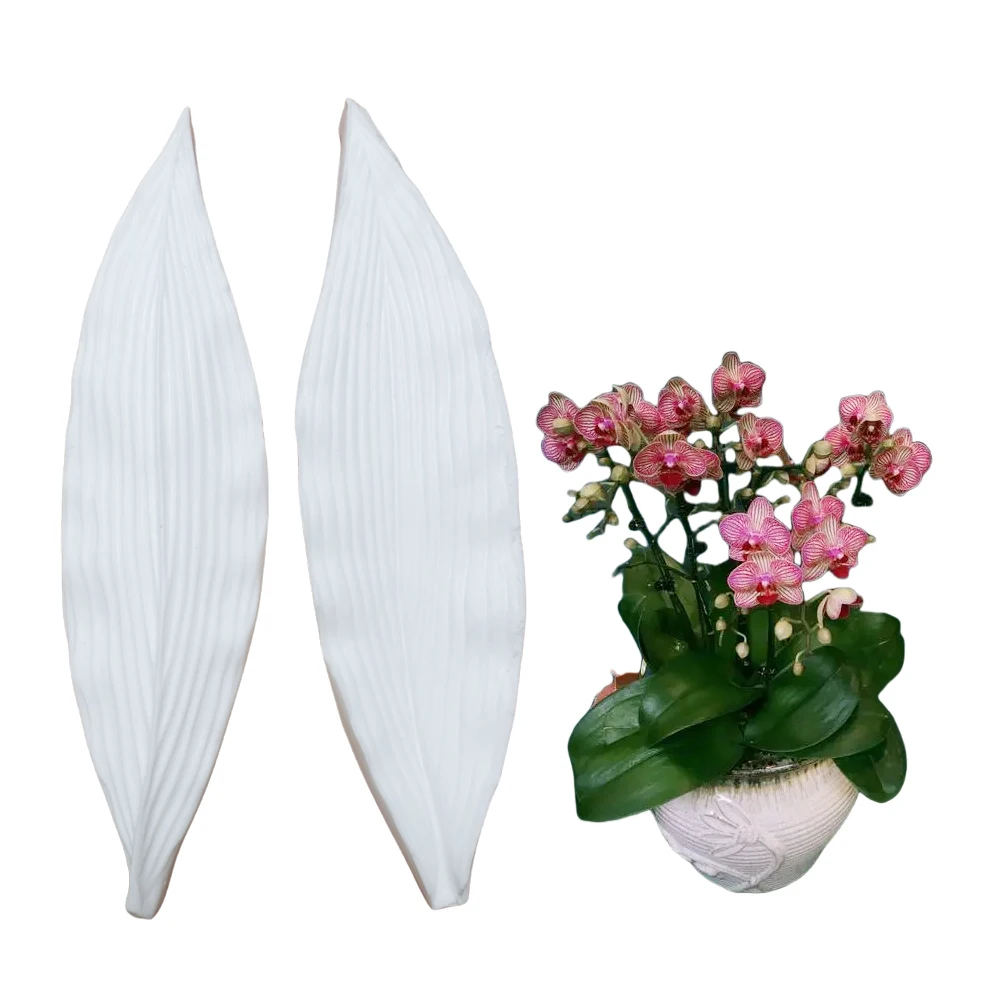 Tulip Petal Large Leaf Silicone Veiner Mold DIY Handmade Fondant Flower Clay Gumpaste Mould Cake Decorating Tools Bakeware M2912