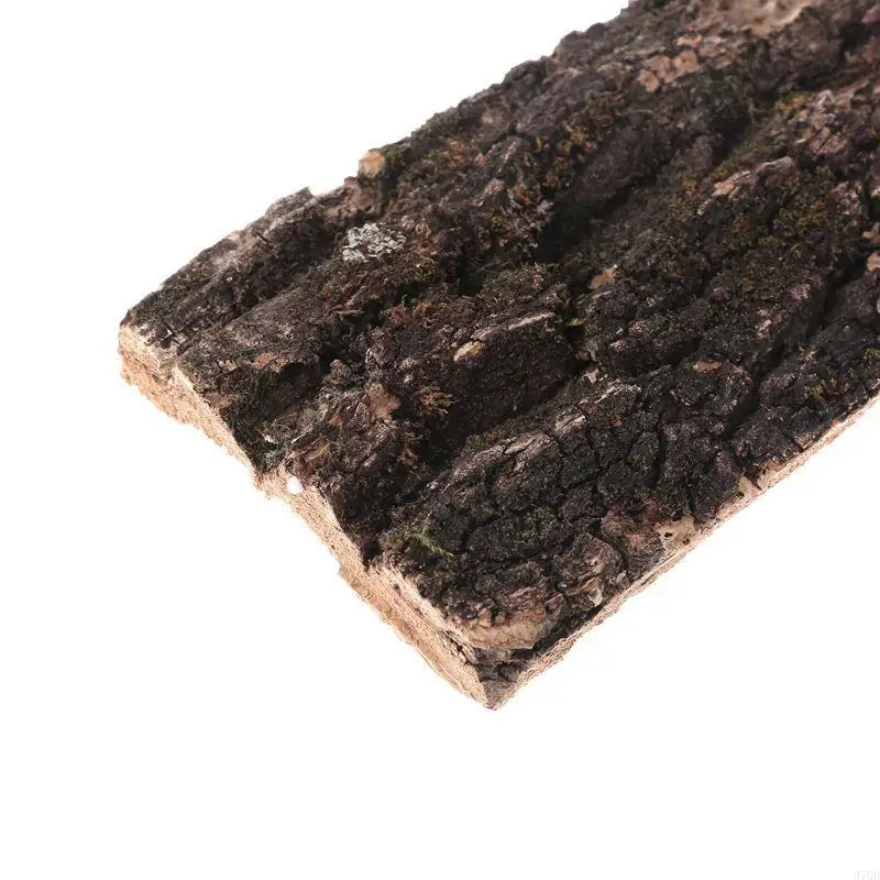 97QD NATRUAL CORK BARK 애완 동물을위한 친환경 코르크 껍질 파충류 서식지 장식