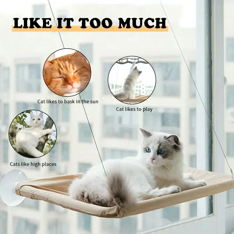 Foldable Cat Window Perch Bed Hammock Cat Window Wall Perch Hammock Seat with 4 Strong Suction Cups Ferret cages Hamster hide