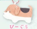 Beagle