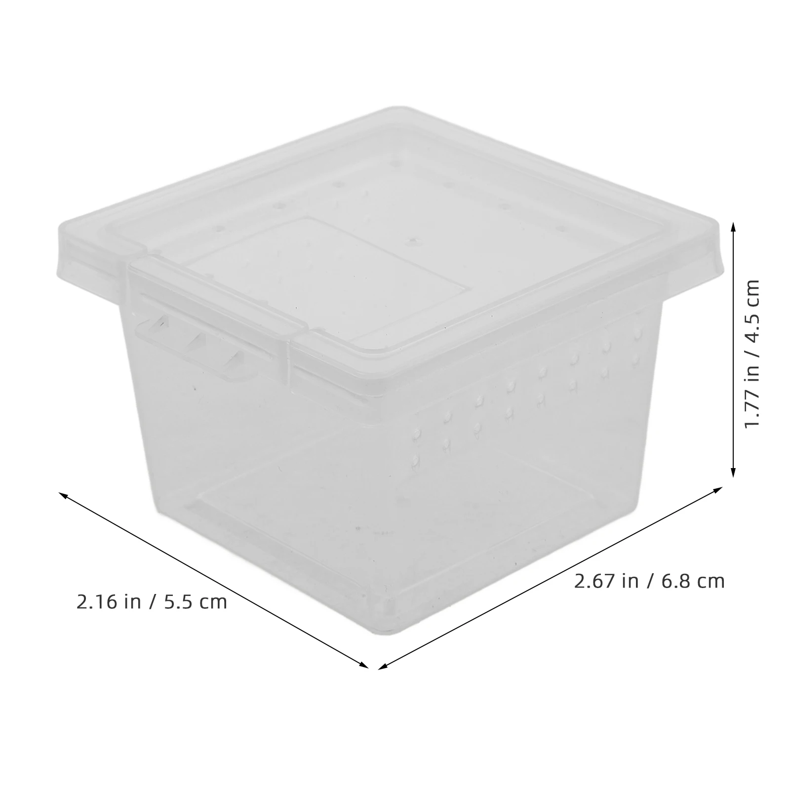 

100 Pcs Lids Insect Rearing Box Terrarium Reptile Container Mini Transparent Pp