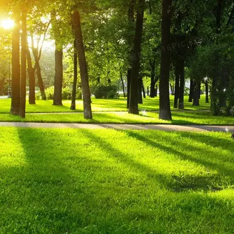 

1/4-Piece HQ Macroquad Propeller 9X5X3 9-inch Three-Blade Reversible Propeller Carbon Fiber Reinforced Nylon Wind-Resistant