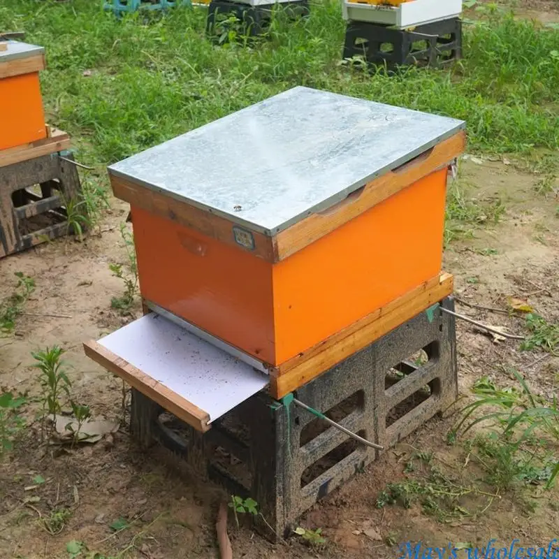 Professional Wooden Hives 10 Frame Capacity Sliding Bottom For Apiary Management 448A