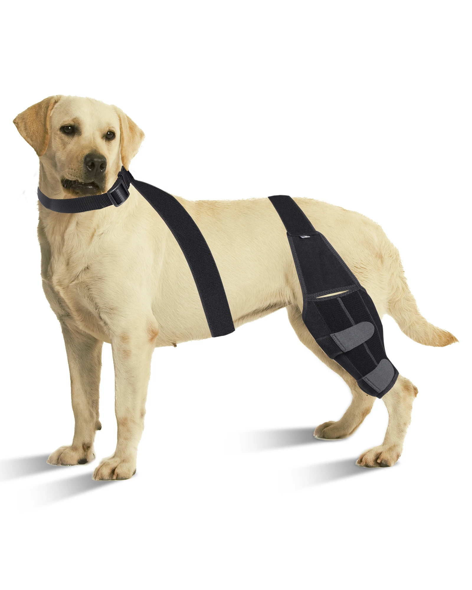 Adjustable Dog Knee Brace Straps Protection Pads, Leg Joint Wrap Supports, Pet Legs Support, Dog Accessories