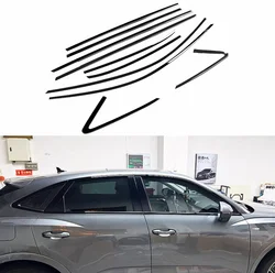 FOR Audi Q3 Sportback ONLY  2020 2021 2022 2023 2024 Glossy Black Car Window Trim Molding Cover trim 10PC