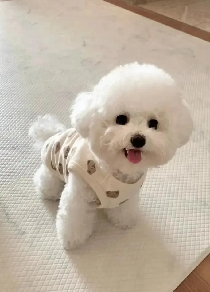 

For Chevrolet Cool Outdoor Protection Full Car Covers Snow Cover Sunshade Waterproof Dustproof Exterior Protection