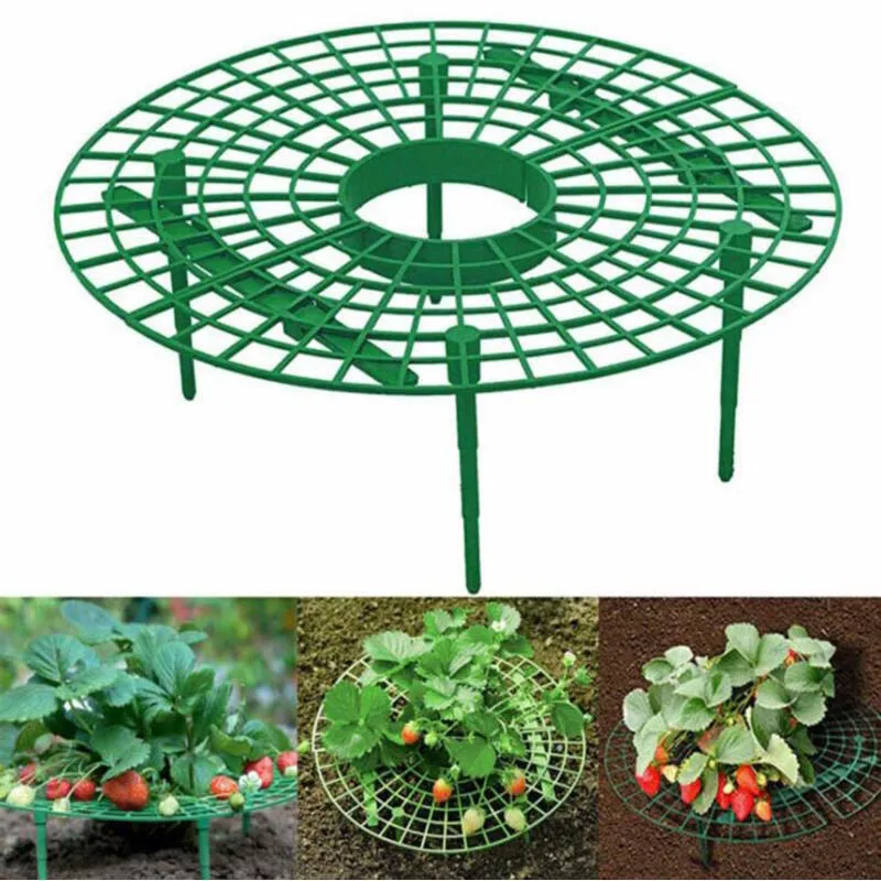 Strawberry Planting Frame Stand Holder Gardening Balcony Rack Farming Support Plant Flower Climbing Vine Pillar Planter tools D2