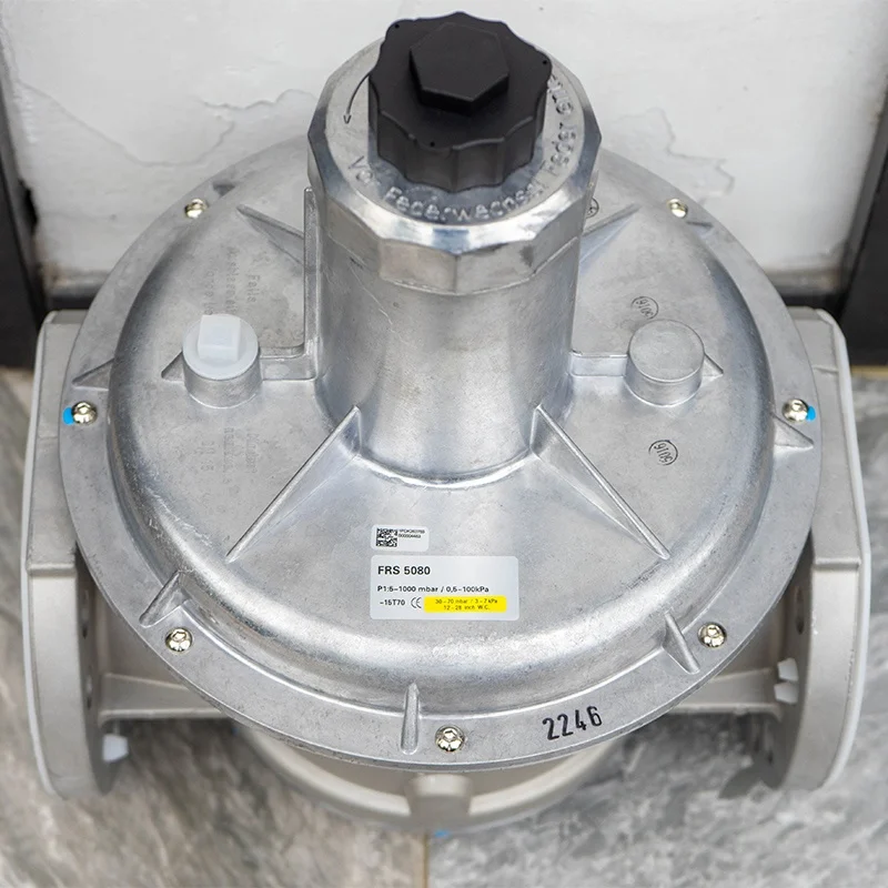 

FRS 5080 German Dongsi Gas Pressure Reducing Valve Combustion Engine Pressure Regulating Valve