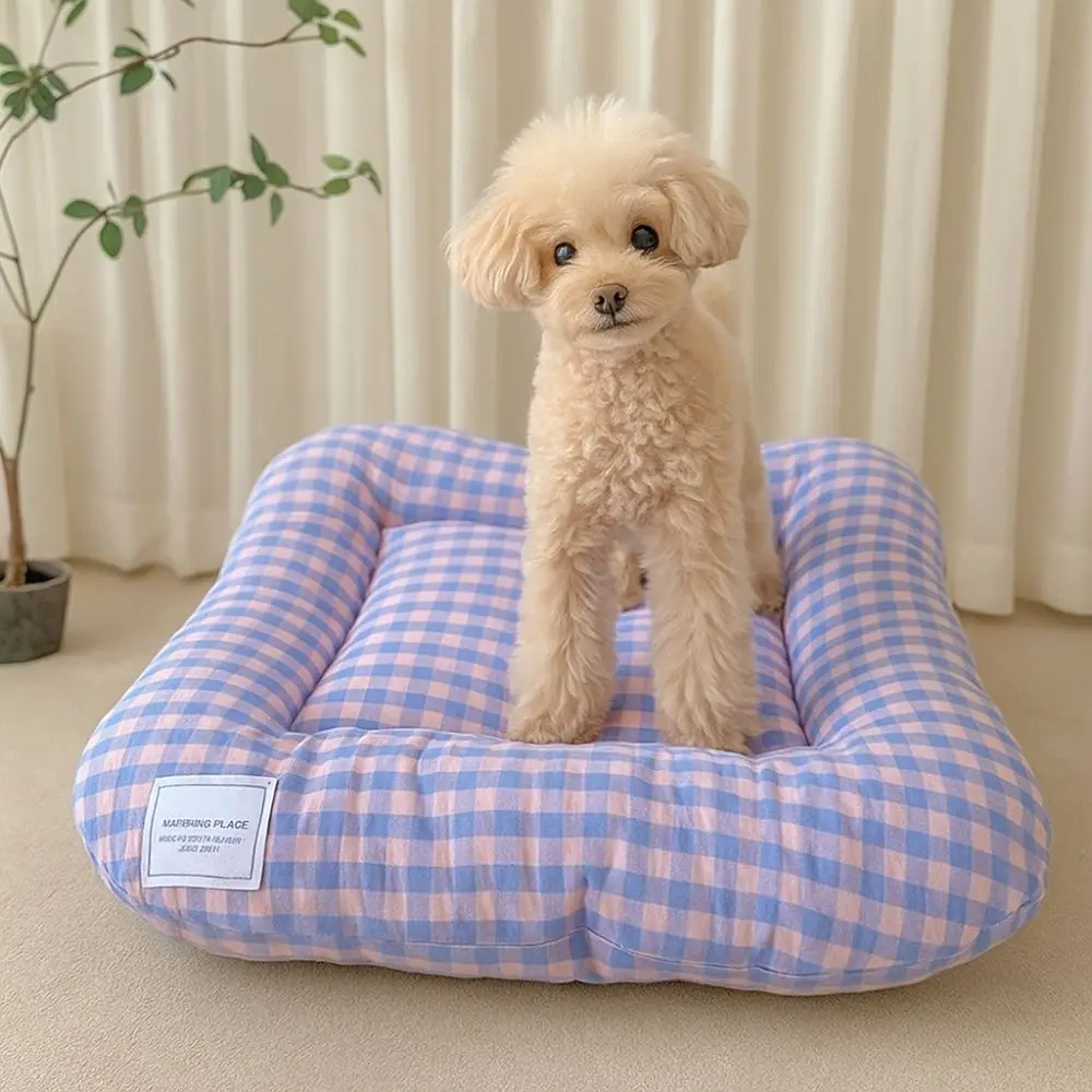 : Camas para cães