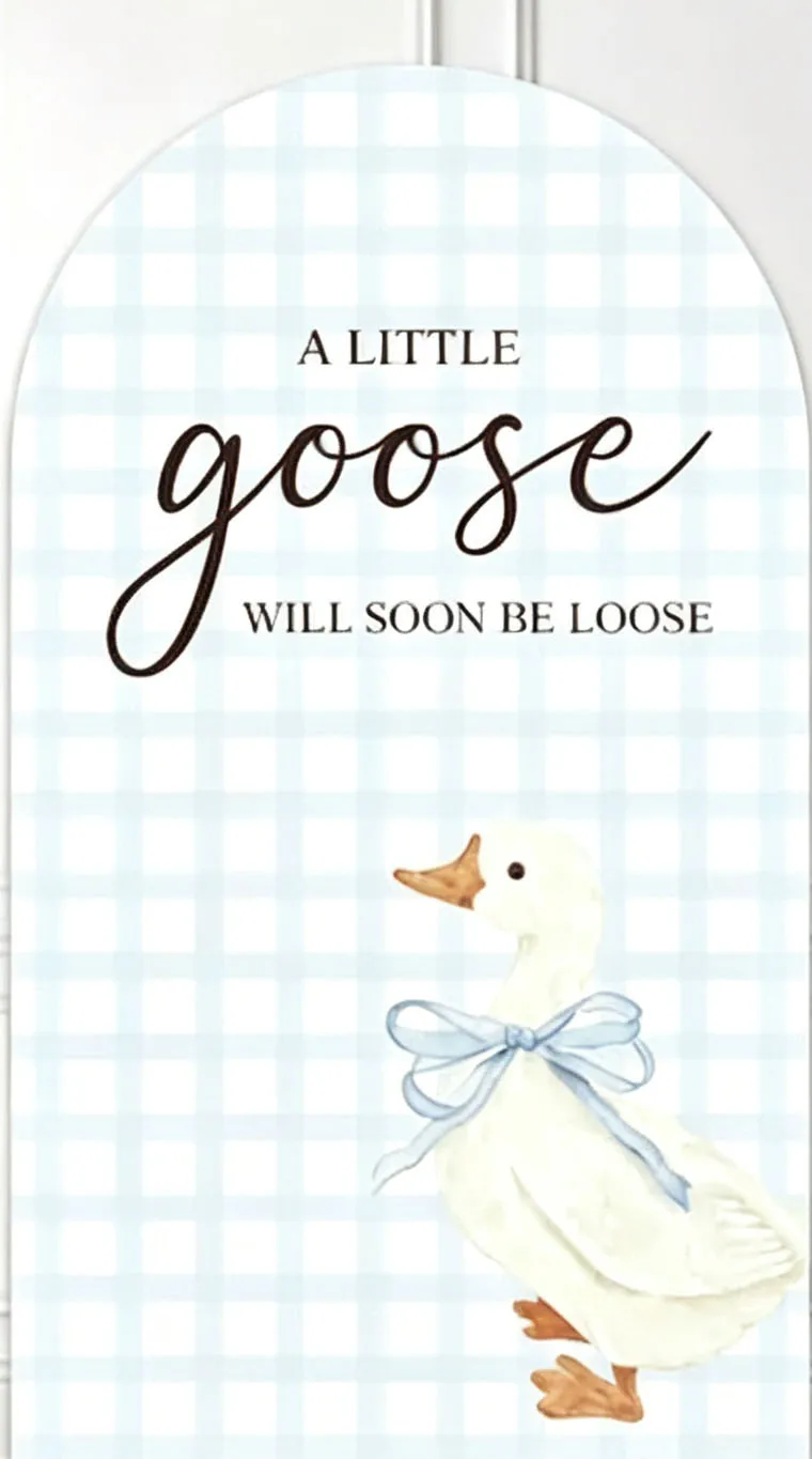 Custom 2-Side Silly Goose Baby Shower Arch Backdrop Cover Blue Checked Diy Name Age Birthday Party Decor Backdrop Photo