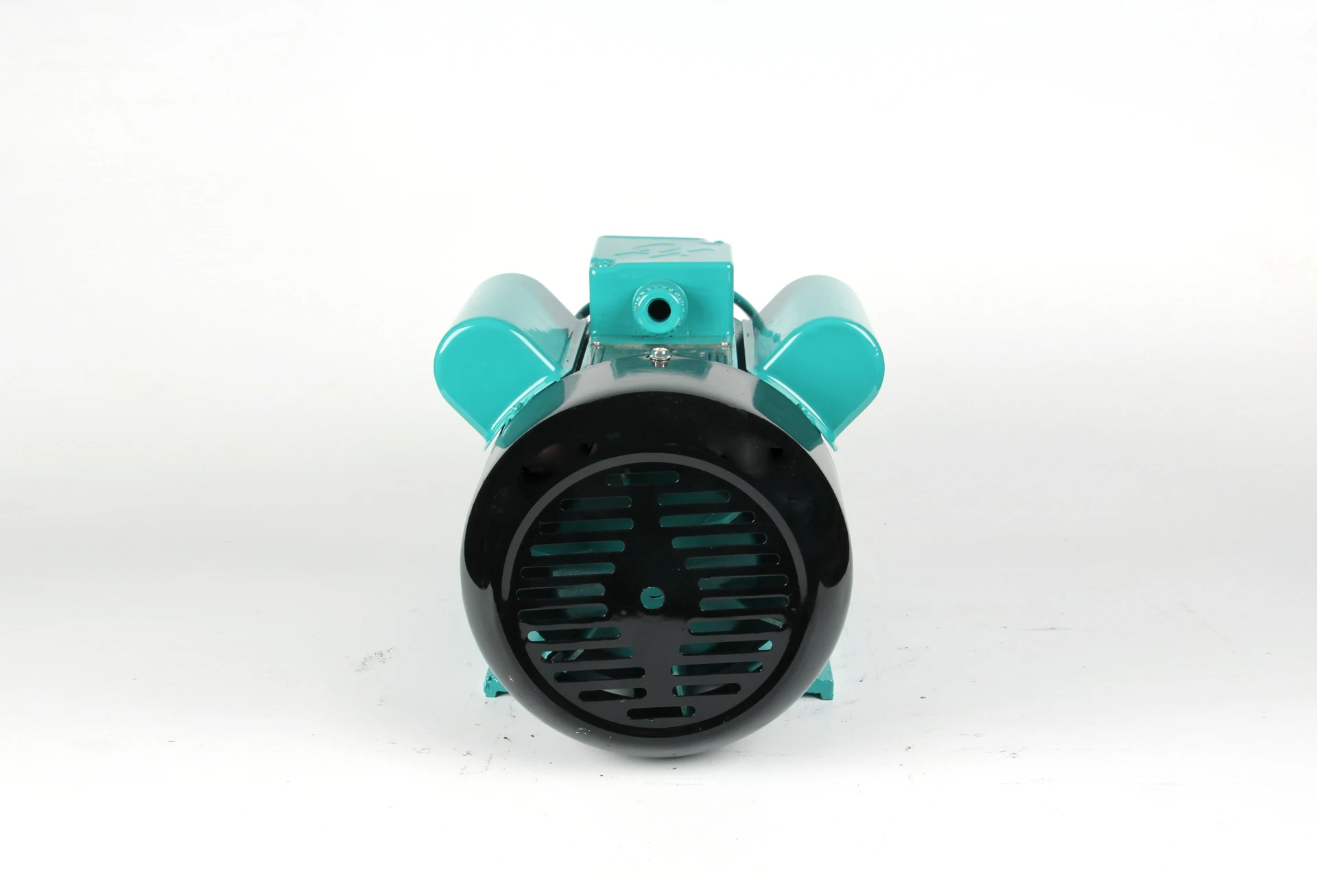 YL100L-2 Series Single Phase Motor 3KW 4HP 2P 2800RPM Electric Asynchronous Motor