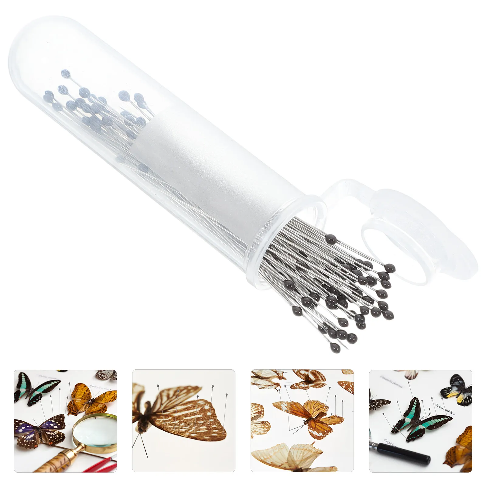 100Pcs Stainless Steel Insect Specimen Mounting Pins for Entomology Display Preservation Fixing Tools Kit Precision Specimen