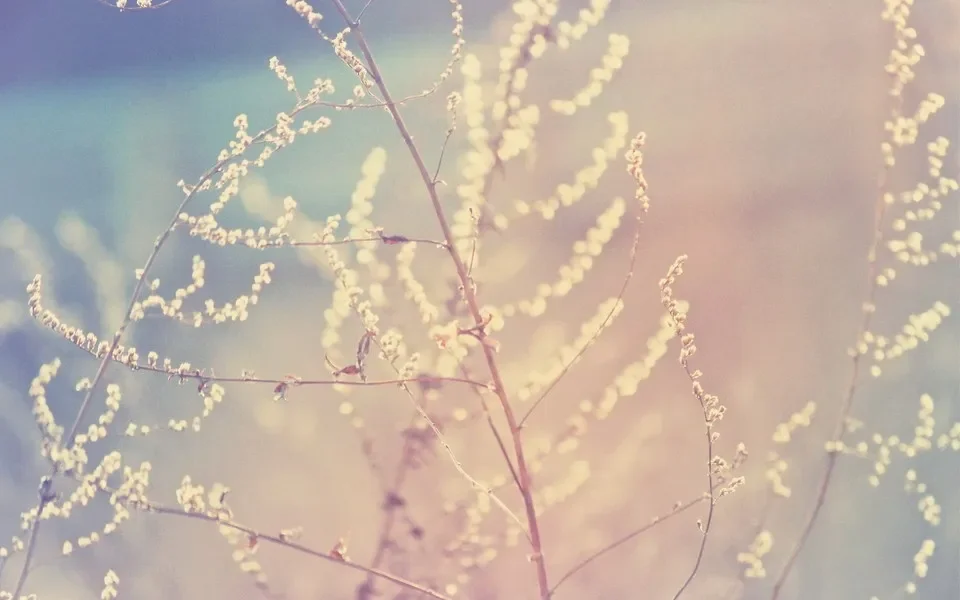 

Для MG ZS (1,0 т/1,5 л) 2017-2020, черная защитная пластина под двигателем, брызговик, грязевое крыло, защита от брызговика