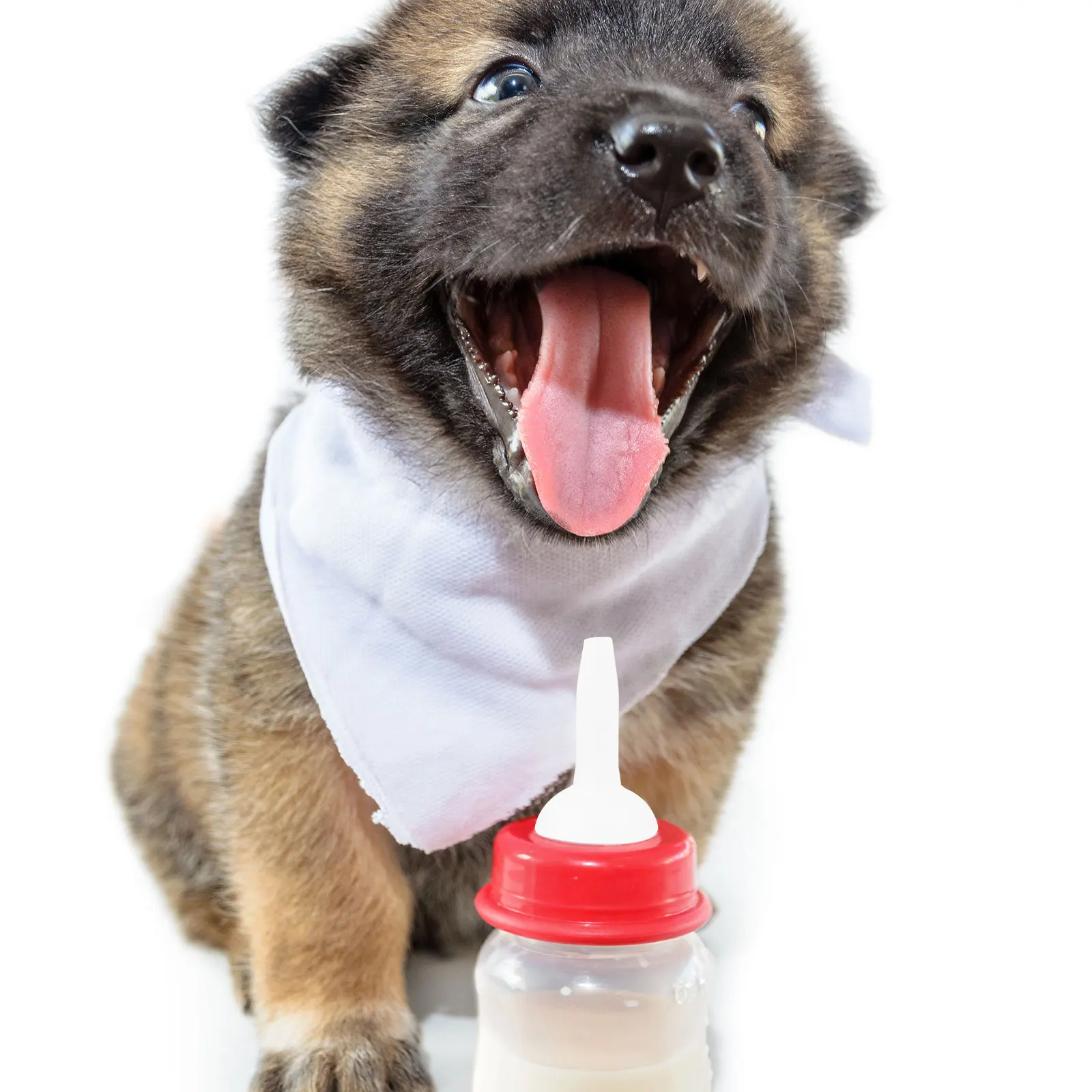 

10 Pcs Pet Bottle Feeding Tools Small Nipples Silica Gel Kitten Milk Pacifiers Mother