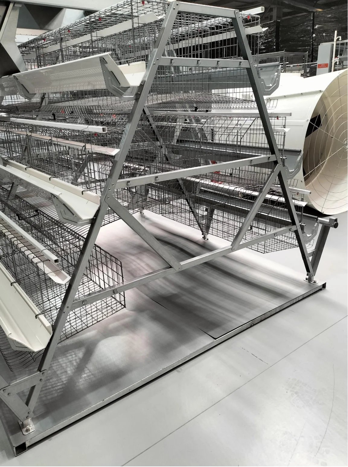 Automatic A-Frame Layer Cage With Hot-Dip Galvanized Anti-Corrosive Mesh And Precision Egg Collection System