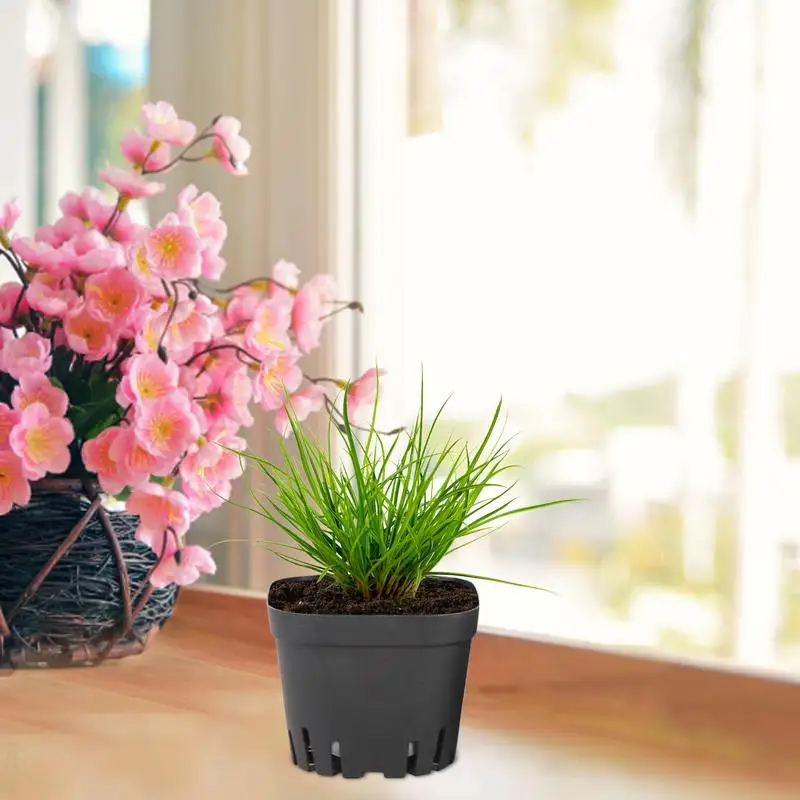 50pcs Black Plastic Nursery Pot Plant Seedling Pouch Holder Raising Bag Nutrition Pots Gardening Kit For Plants 5.5cm/7cm/10cm