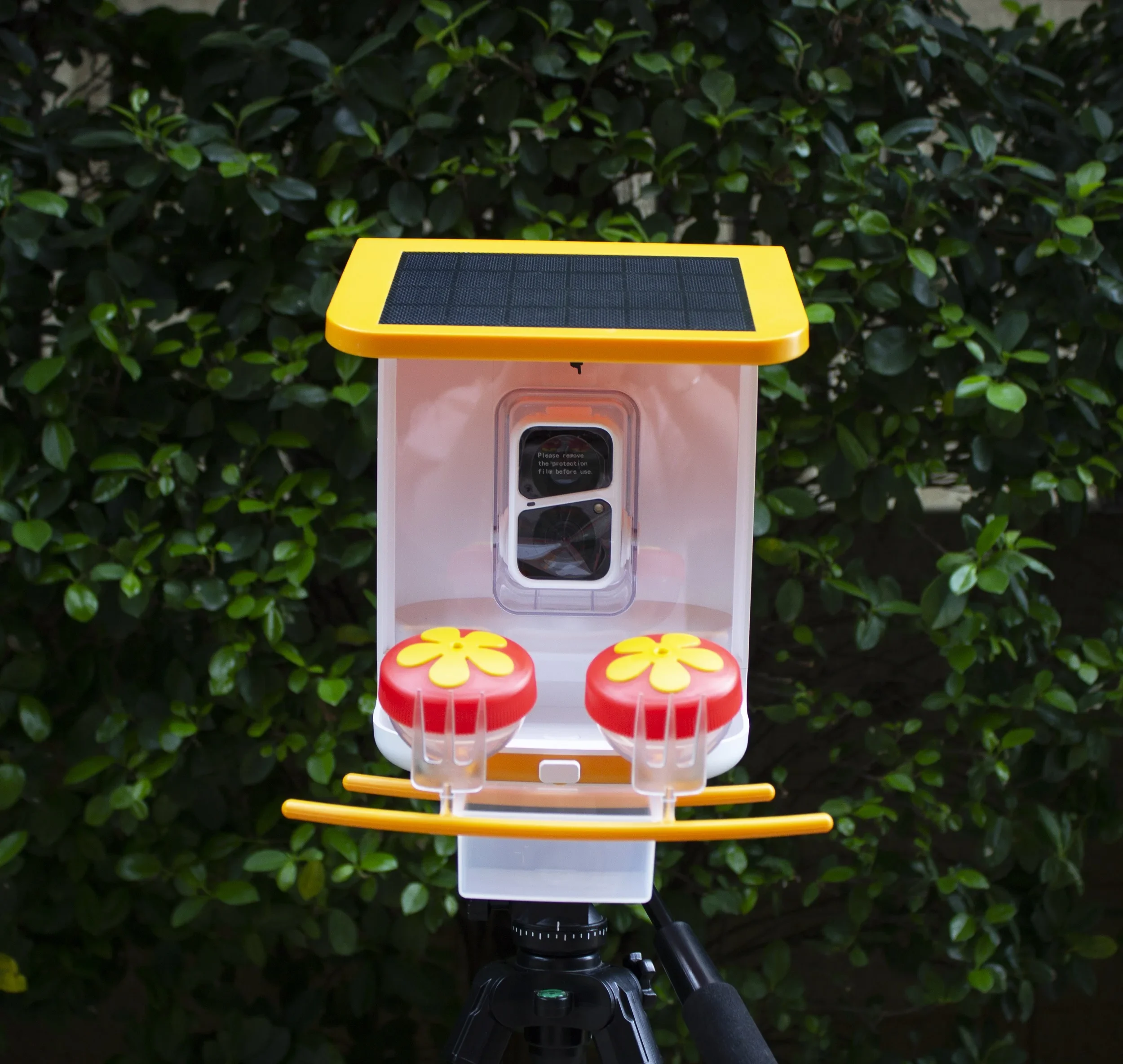 Solar Panel Bird Feeder With Smart Bird Cabin WiFi AI Camera Auto Capture Smart Bird Feeder With Camera