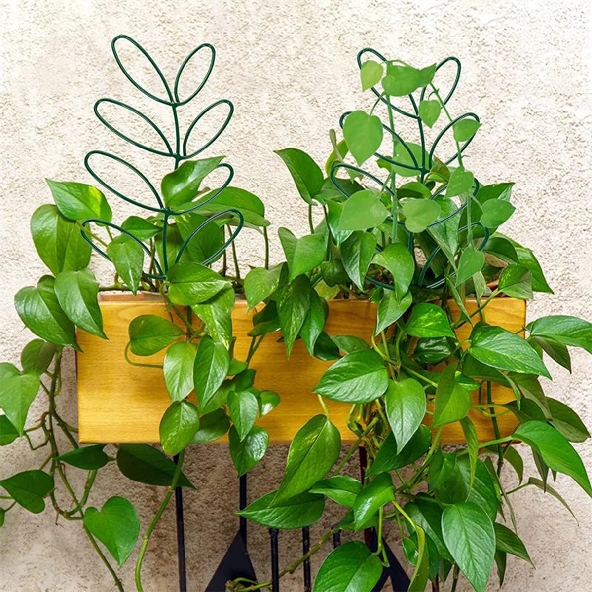 葉の形のガーデントレリスつる植物サポートクリエイティブ金属植物ステーク屋内屋外観葉植物つる花野菜