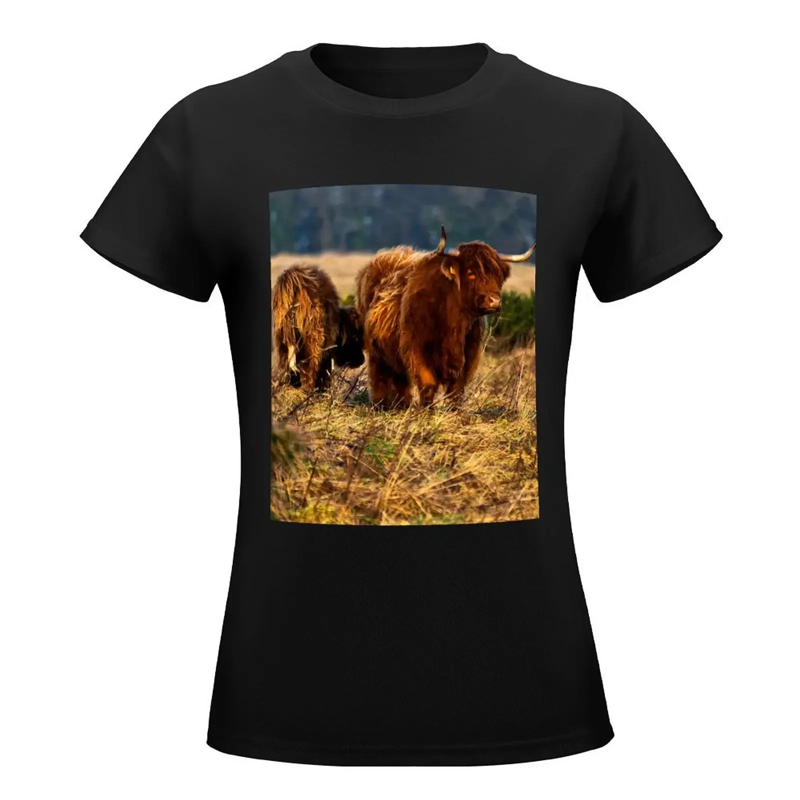 Highland cow and her calf T-Shirt summer clothes female plus size t shirts for Women loose fit