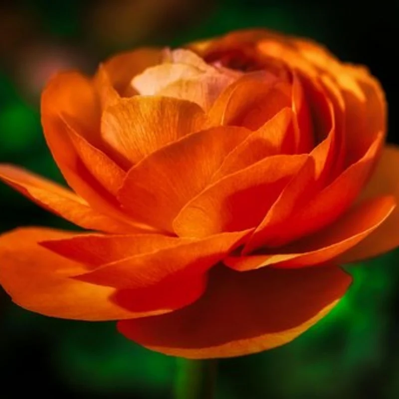 

4 шт., 65 мм, резиновая шина, шестигранная шина 12 мм для Tamiya TT01 TT01E TT02 TT02B TA06 XV01 XV02 PTG-2 1/10, детали для обновления гоночного автомобиля на радиоуправлении