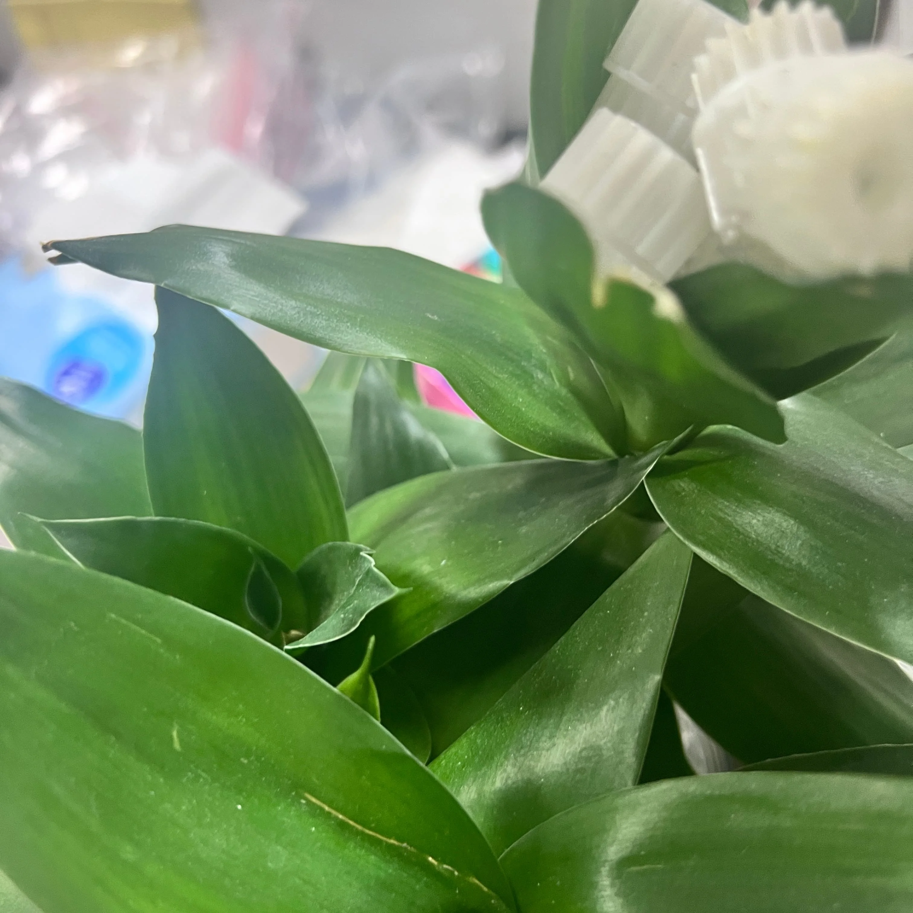 1PCS LY9007 Ejector…