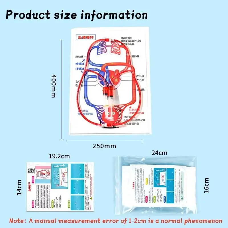 Human Body Circulatory System Model DIY Science Experiment Kit Kids Educational Toy For School Biology Teaching Learning