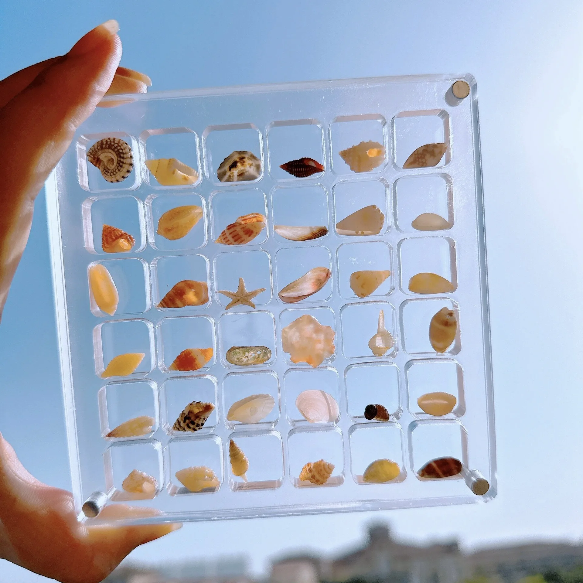 Clear Acrylic Magnetic Seashell Display Box Seashell Stackable Storage Box Nail Display Cases Container Organizers Container