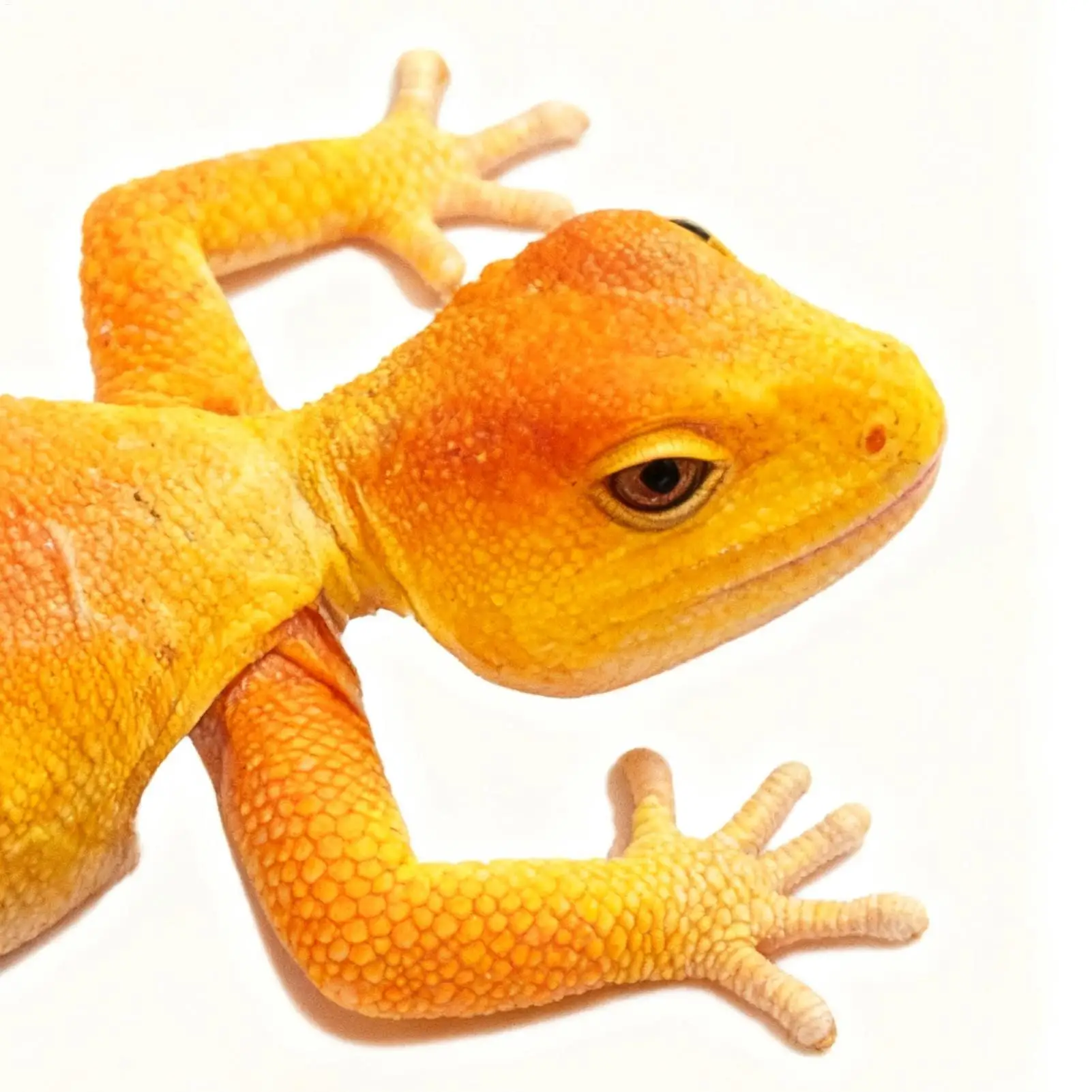 لعبة روبوت تسلق الجدران بجهاز تحكم عن بعد للأطفال قابلة لإعادة الشحن وجهاز تحكم عن بعد لعبة تفاعلية هدية عيد الميلاد سهلة التشغيل