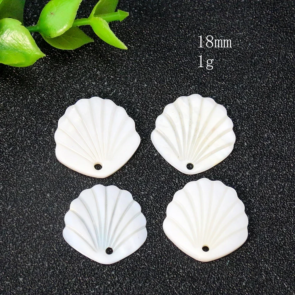 5pc Natural Shell Pendant 18/22/27mm Mother of Pearl Fan Charms for Jewelry Making DIY Women's Necklace Earrings Accessories