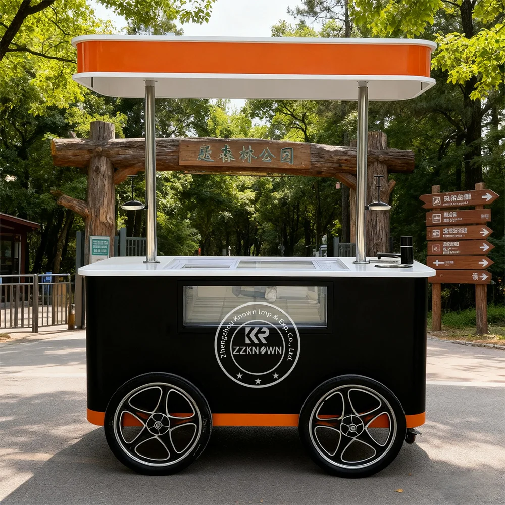 Cold Plate Ice Cream Freezer Cart Hand Push Gelato Van Mexican Ice Cream Push Cart for Sale