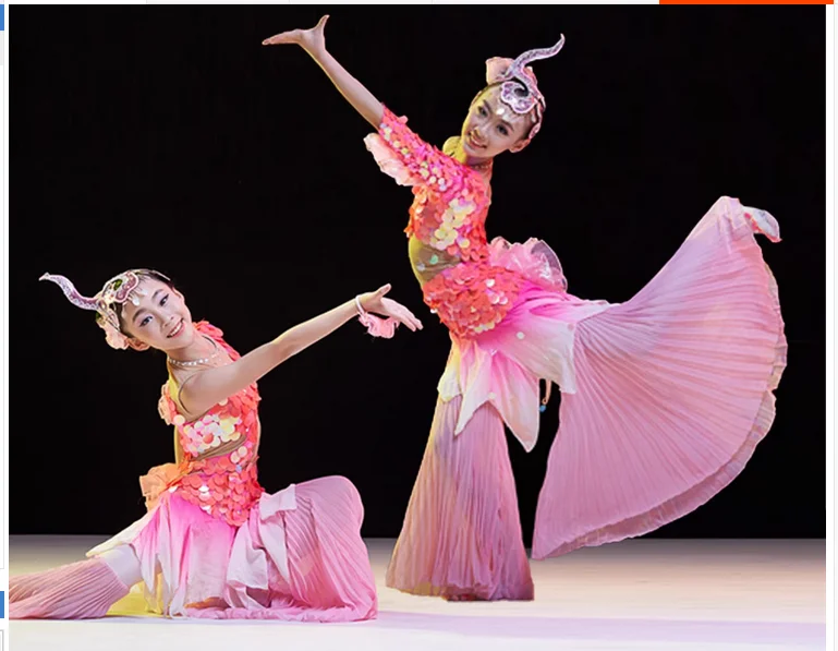 

Chinese folk Dai female classical Belly dance dress mermaid suit