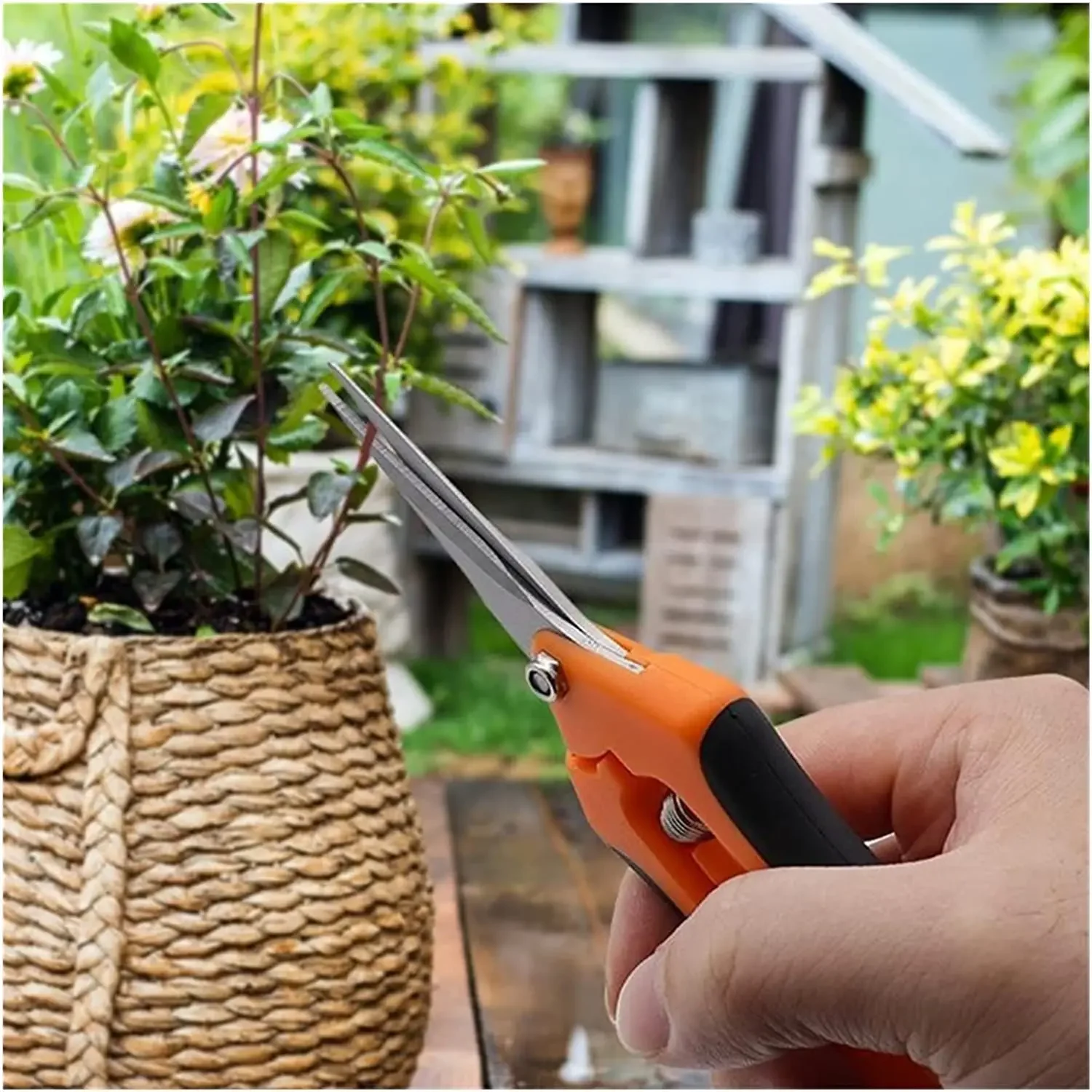 Tijeras para bonsái, herramientas de jardín, tijeras de Metal para jardinería, herramienta de poda, cortador manual, recogida de frutas, hierba, maceta para el hogar, 1 Uds.