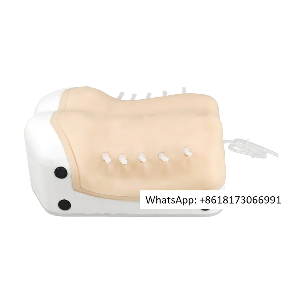 

Intervertebral Foramen Endoscope Training UBE Surgical Simulator Underwater Operation High-fidelity Endoscope Is Dual-purpose