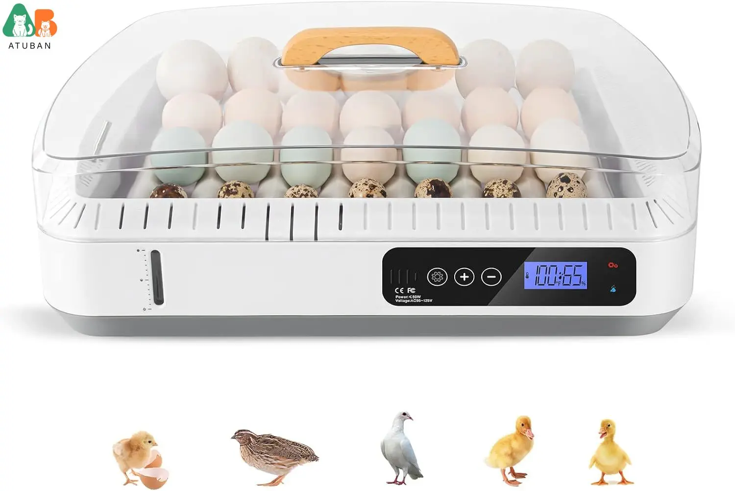 

36 Egg Incubator Automatic Egg Turning and Automatic Temperature Control,Incubators for Hatching Eggs for Chicken,Duck,Quail