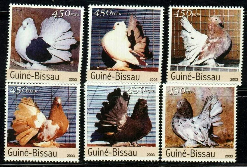 6 PCS/Set, Guinea Bissau, 2003, Bird Stamps-Dove, Real Original Stamps for Collection, MNH