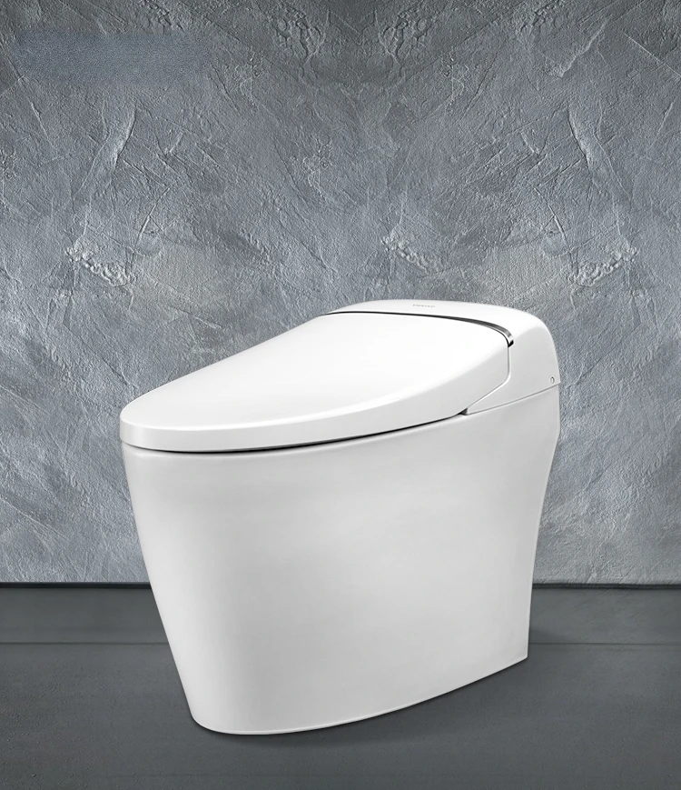 Smart Self-Cleaning Pocket Toilet, Restroom