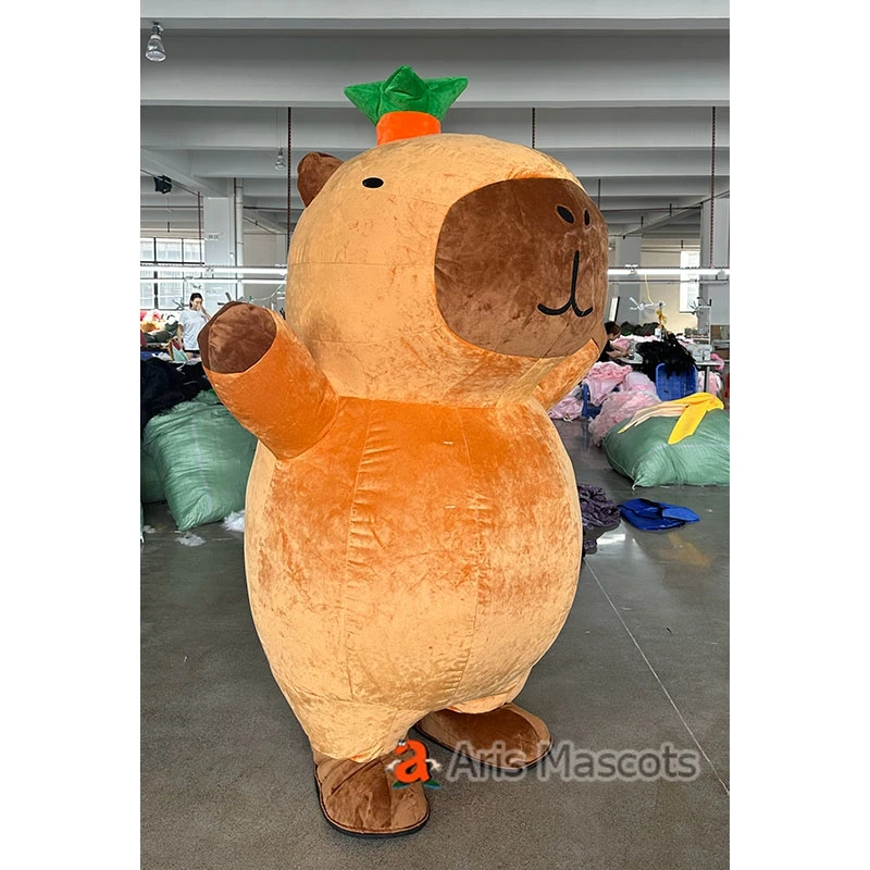 Habillage Capybara, vêtements en Peluche - Vêtements de Remplacement de | Trucs De Capybara, Décorations d'anniversaire, Tenues d'animaux en Peluche pour La Fête, Déguisement