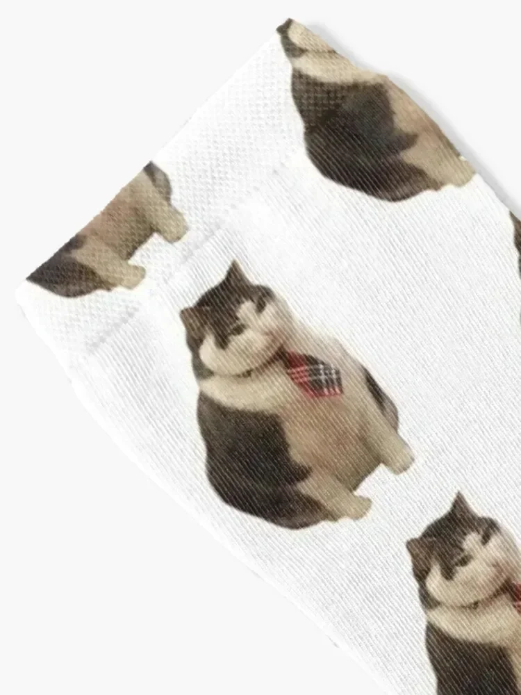 Chonky Smart Boi Socks christmass gift gym Woman Socks Men's