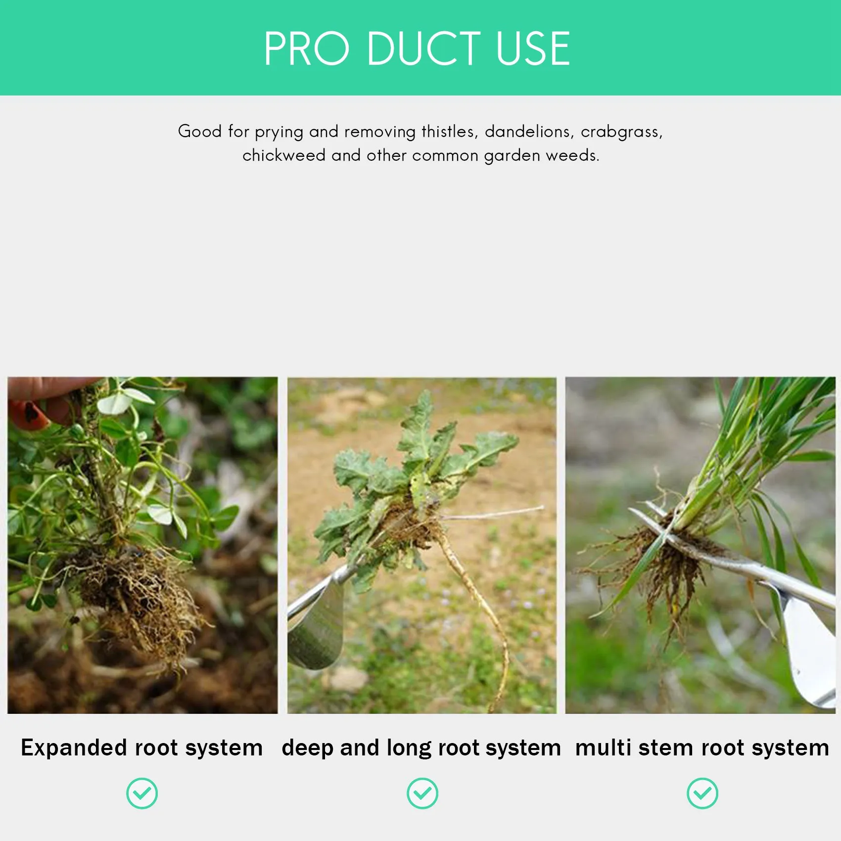 

PTST Wood Handle Stainless Steel Garden Weeder Hand Weeding Removal Cutter Dandelion Puller Tools Multifunction Weeder