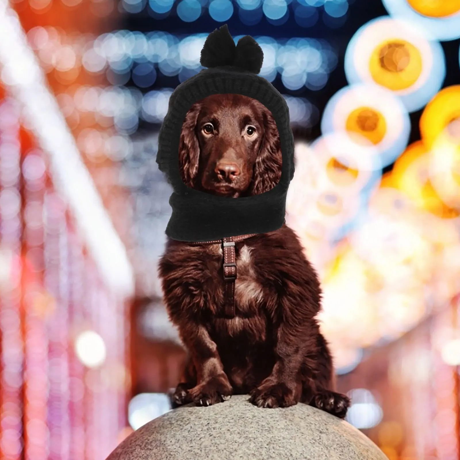 

Dog Winter Hat Knitted Scarf Warm Woolen Lining Lightweight Outdoor Cap Stylish Pet Headwear Cold Weather Outfit