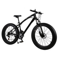ZAIQU Europe Warehouse Low Rider Mini 24 26 29 Inch in Fat Tire Inch Frame Snow Mountain Bike Bicycle Fatbike