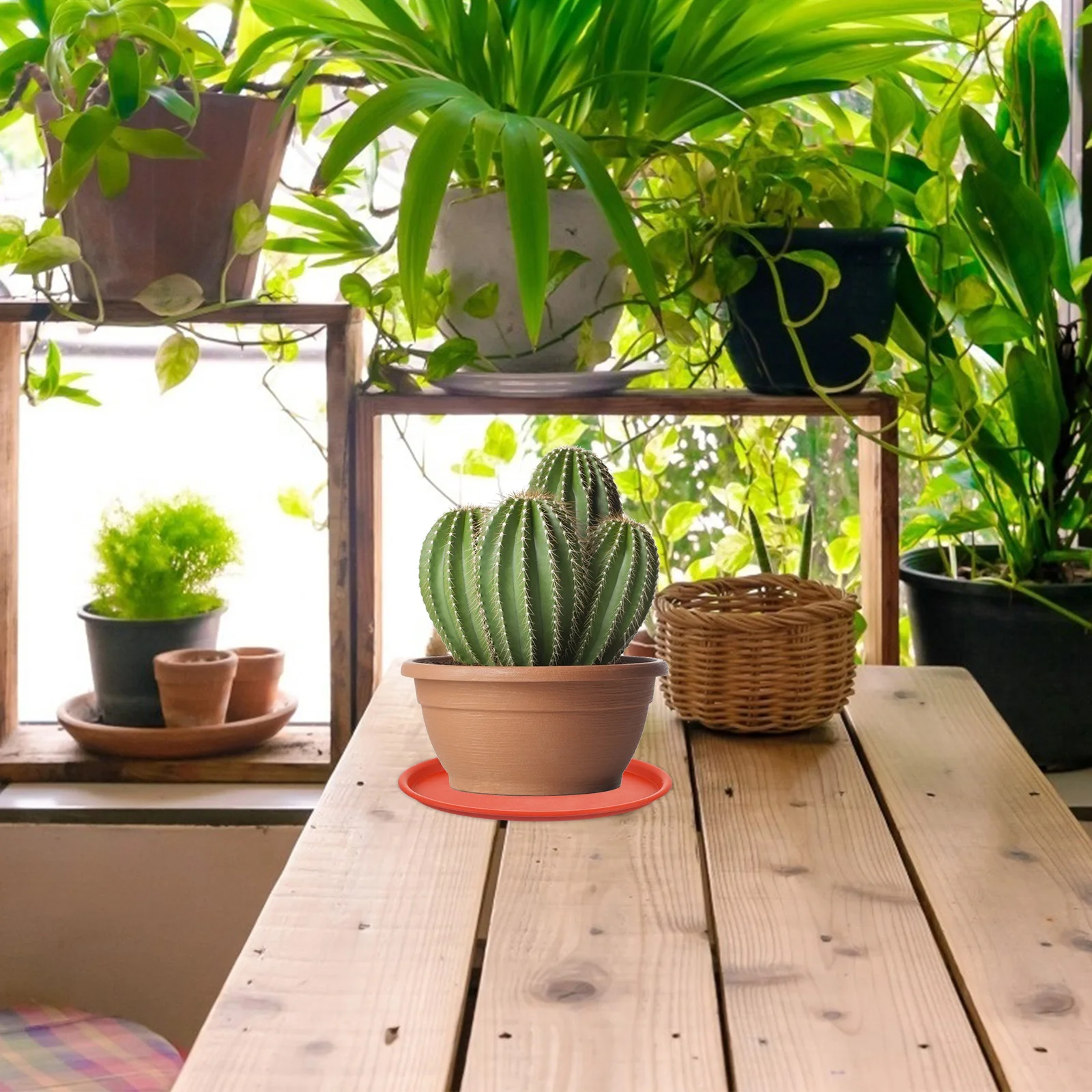 

10Pcs Durable PP Plant Saucers Oval Flowerpot Trays No Soil Falling Indoor Outdoor Water Plates Gardening Accessories