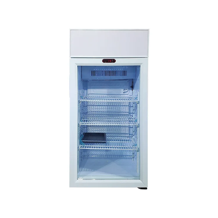 Estantes ajustables para refrigerador de bebidas al aire libre, ahorro de energía, 80L